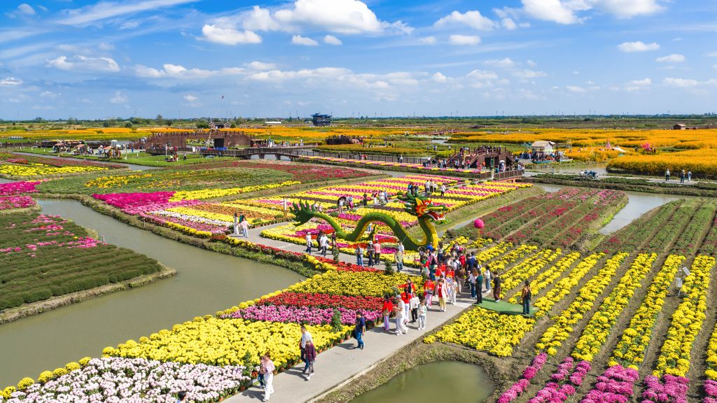 江苏千垛景区花田、河渠与赏花游客的无人机实景。