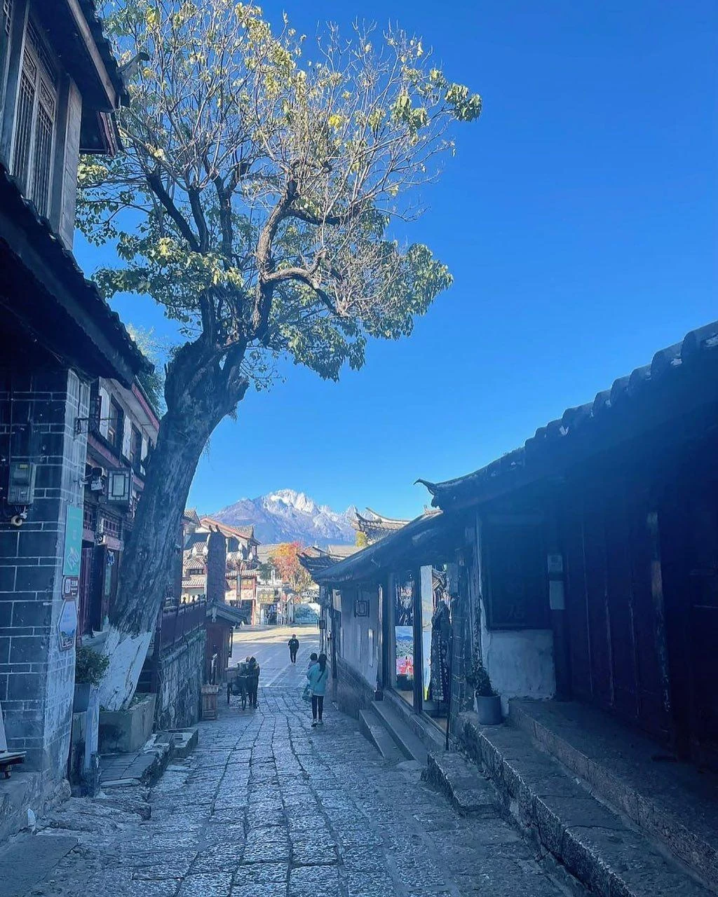 2018年云南团建丽江古城与雪山