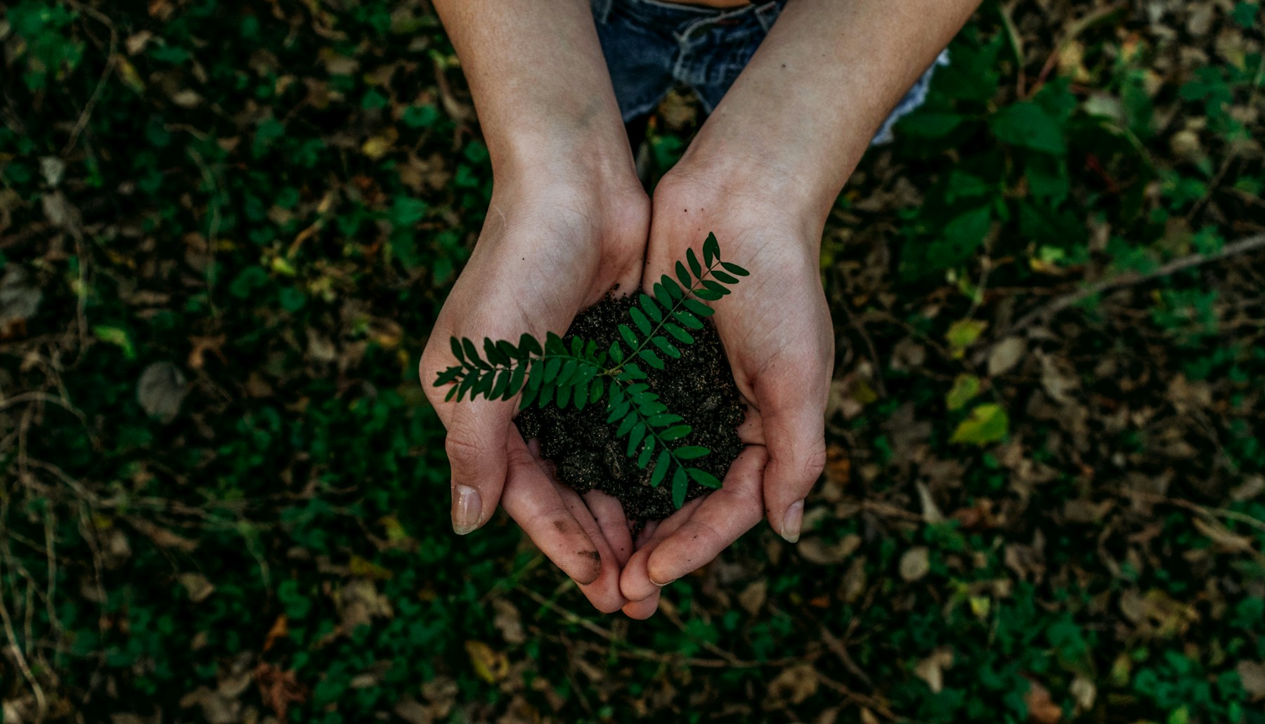 生态种植与绿色公益行动